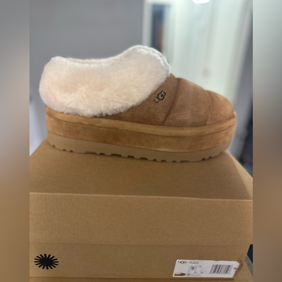 Shoes - UGG Tazzlita slipper